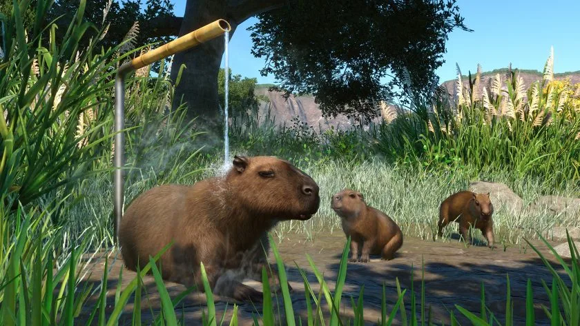 Planet ZOO 2 vient d’être annoncé ! Six ans après le dernier !
